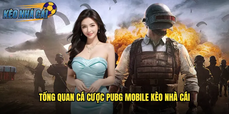 Tổng Quan Cá Cược PUBG Mobile Kèo Nhà Cái